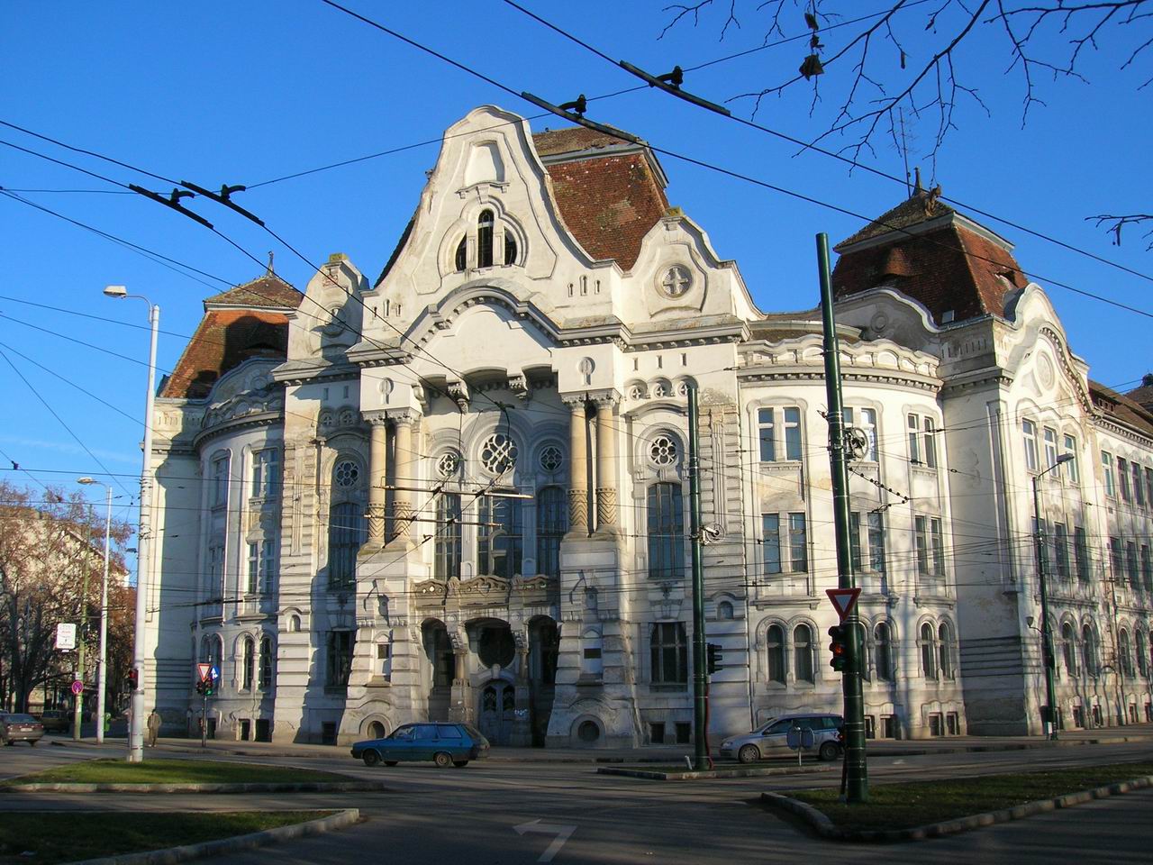 The University